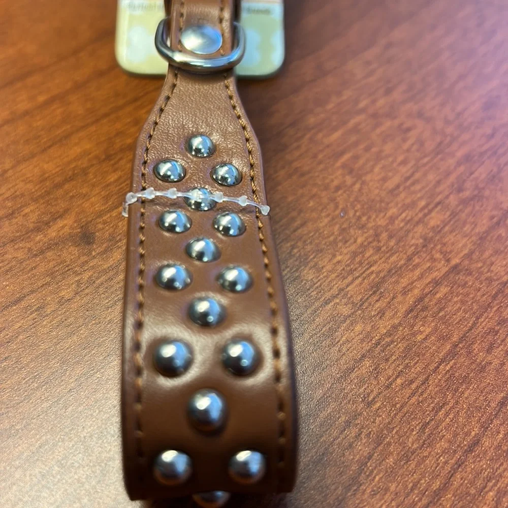 New dog collar